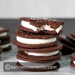 Chocolate Wafer Ice Cream Sandwiches
