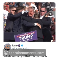 Internet Reacts to Trump Getting Shot